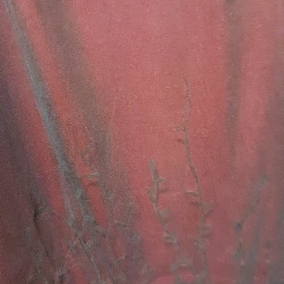 Express - Picture 3 of 4